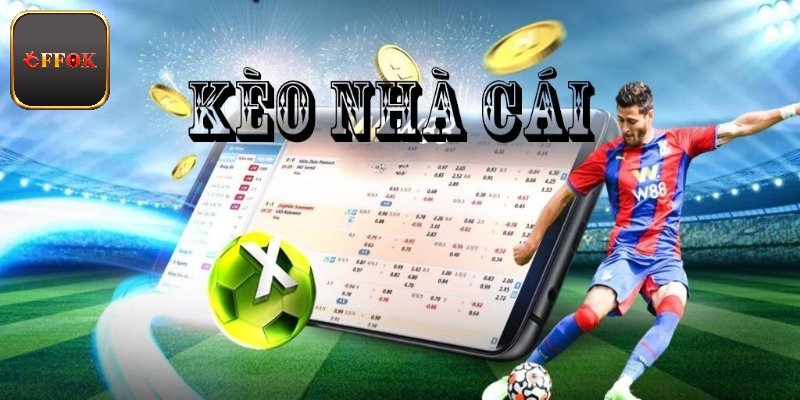 Cách Nhà Cái Ra Kèo - Thông Tin Cá Cược Đắt Giá Hiện Nay