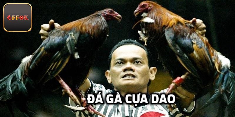 Đá Gà Cựa Dao - Khám Phá Hình Thức Chọi Gà Kịch Tính