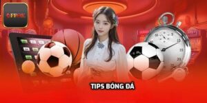 Tips Bóng Đá Chuẩn Nhất Từ Các Chuyên Gia Soi Kèo Tài Ba