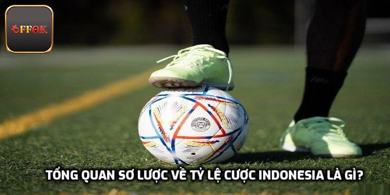 Tổng quan sơ lược về tỷ lệ cược Indonesia là gì