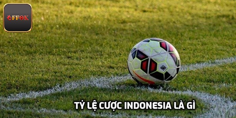 Tỷ Lệ Cược Indonesia Là Gì Cách Hiểu Đơn Giản Cho Người Mới